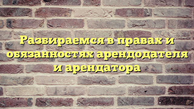 Разбираемся в правах и обязанностях арендодателя и арендатора