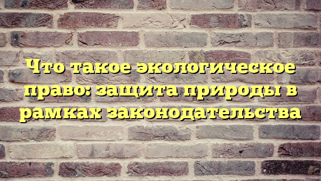 Что такое экологическое право: защита природы в рамках законодательства